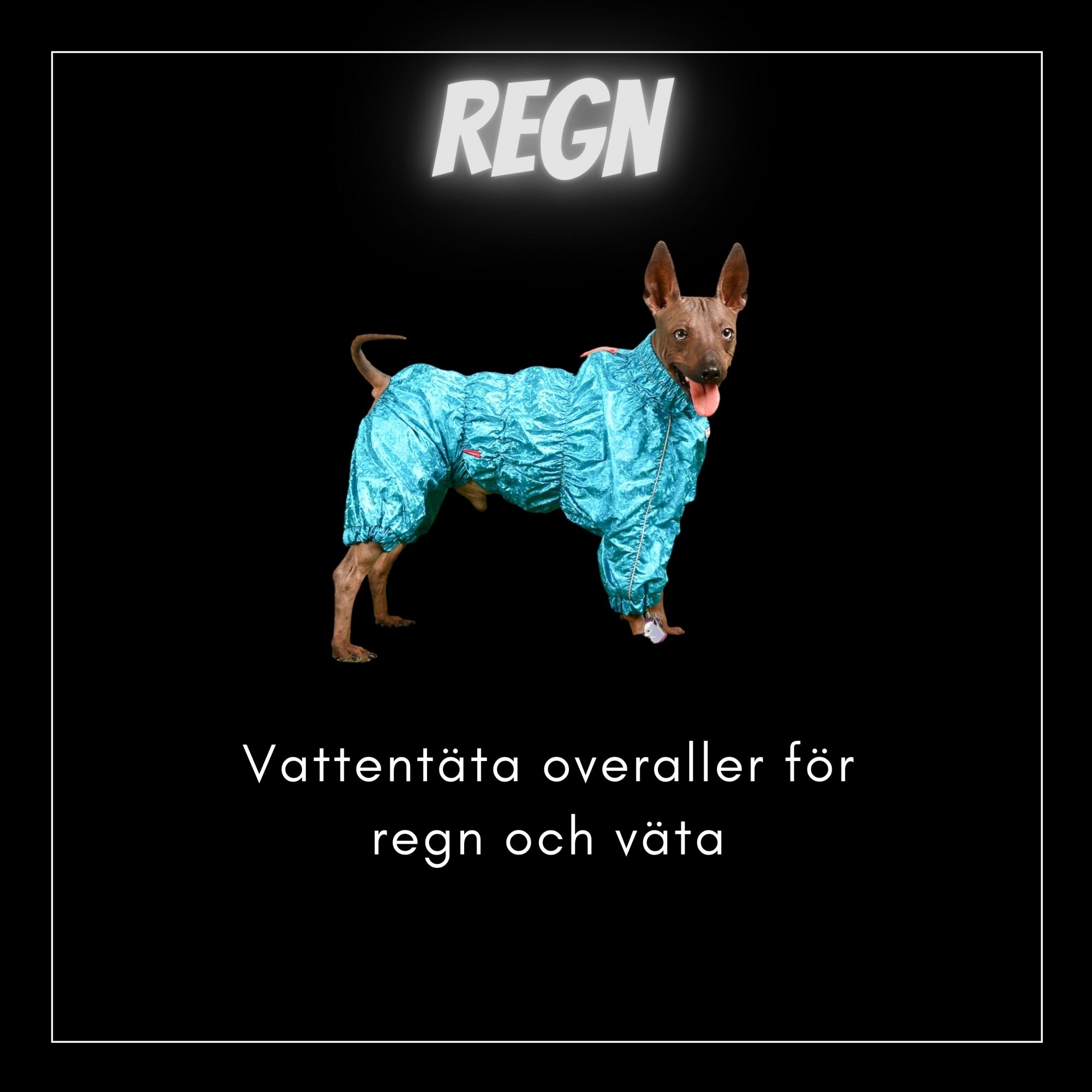 Regnkläder - Kortbenta & Långryggade hundar - Passion For Pet Fashion