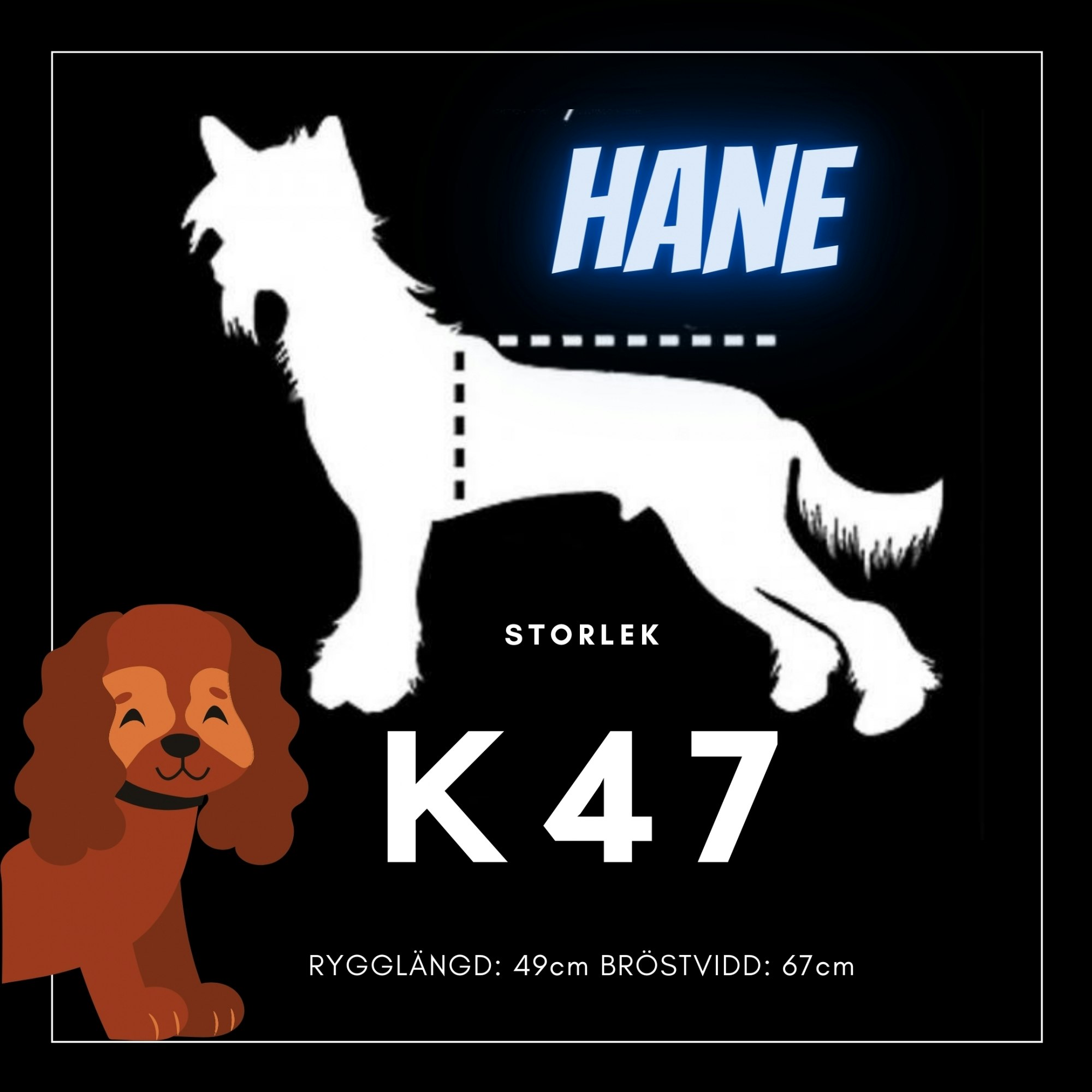 Hane Storlek K47 - Passion For Pet Fashion