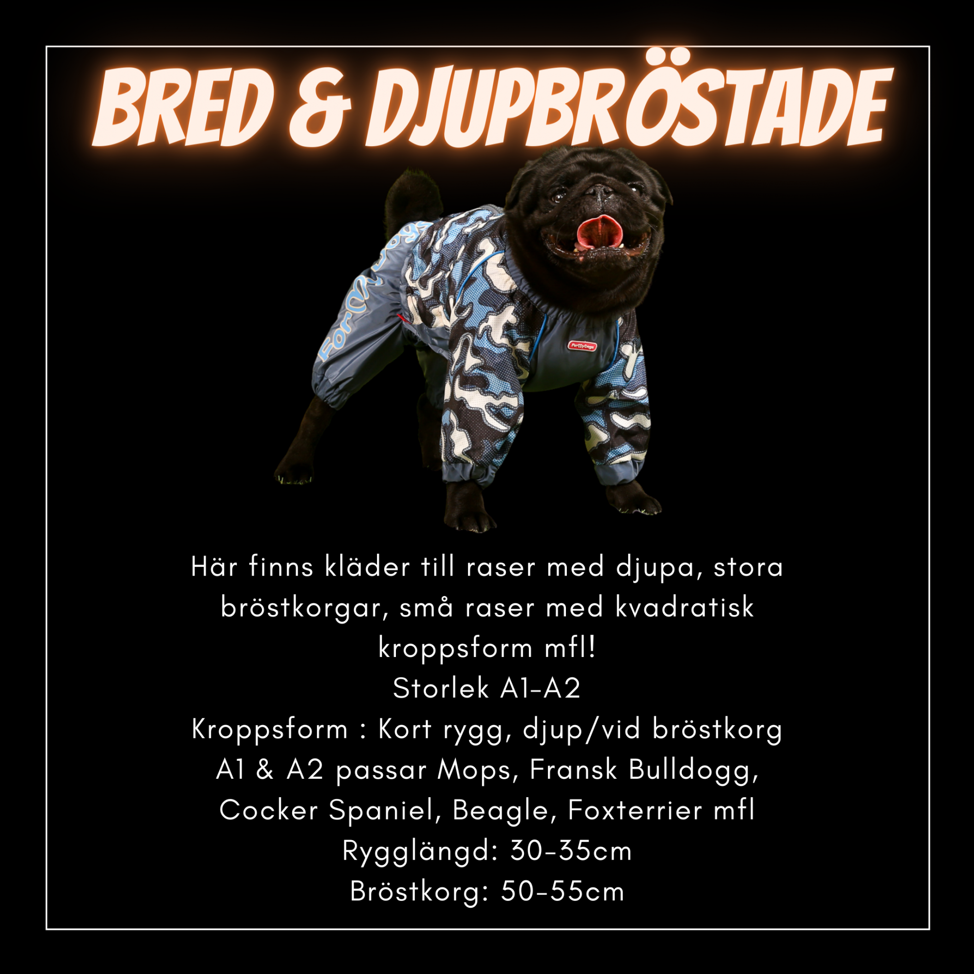 Bred & Djupbröstade Hundar - Passion For Pet Fashion