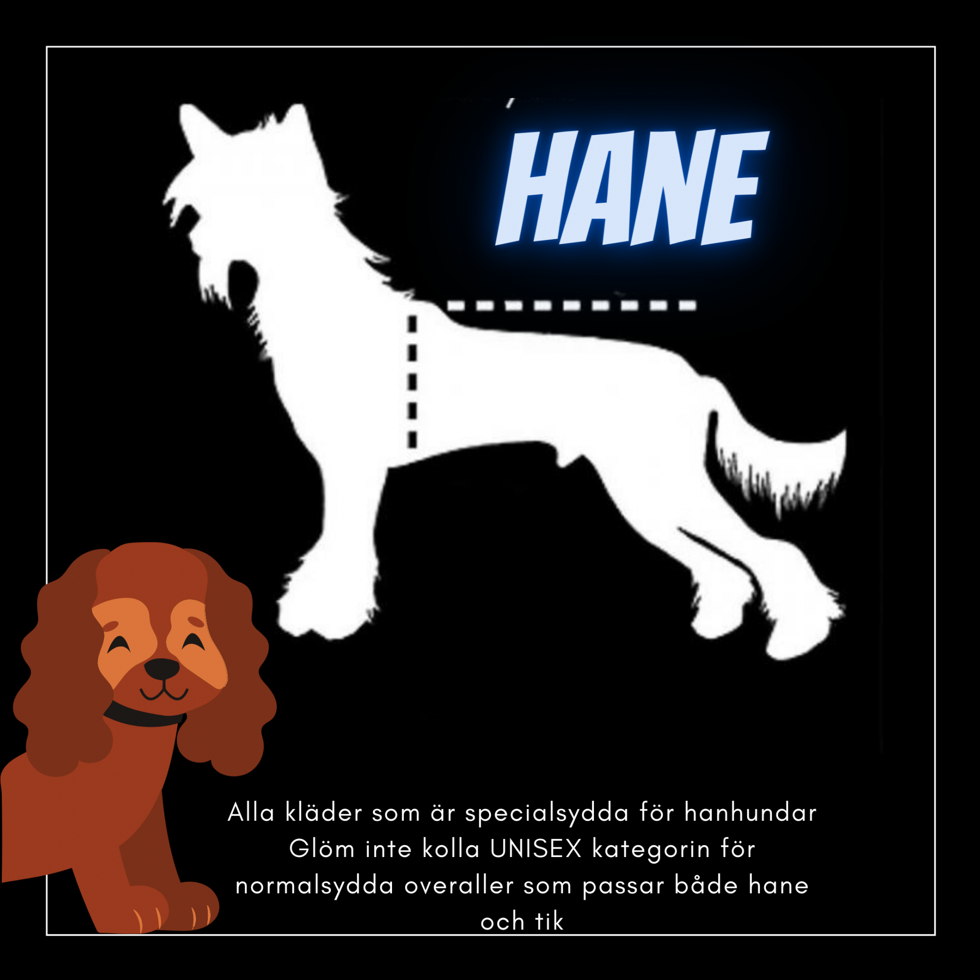 Hane  - Passion For Pet Fashion