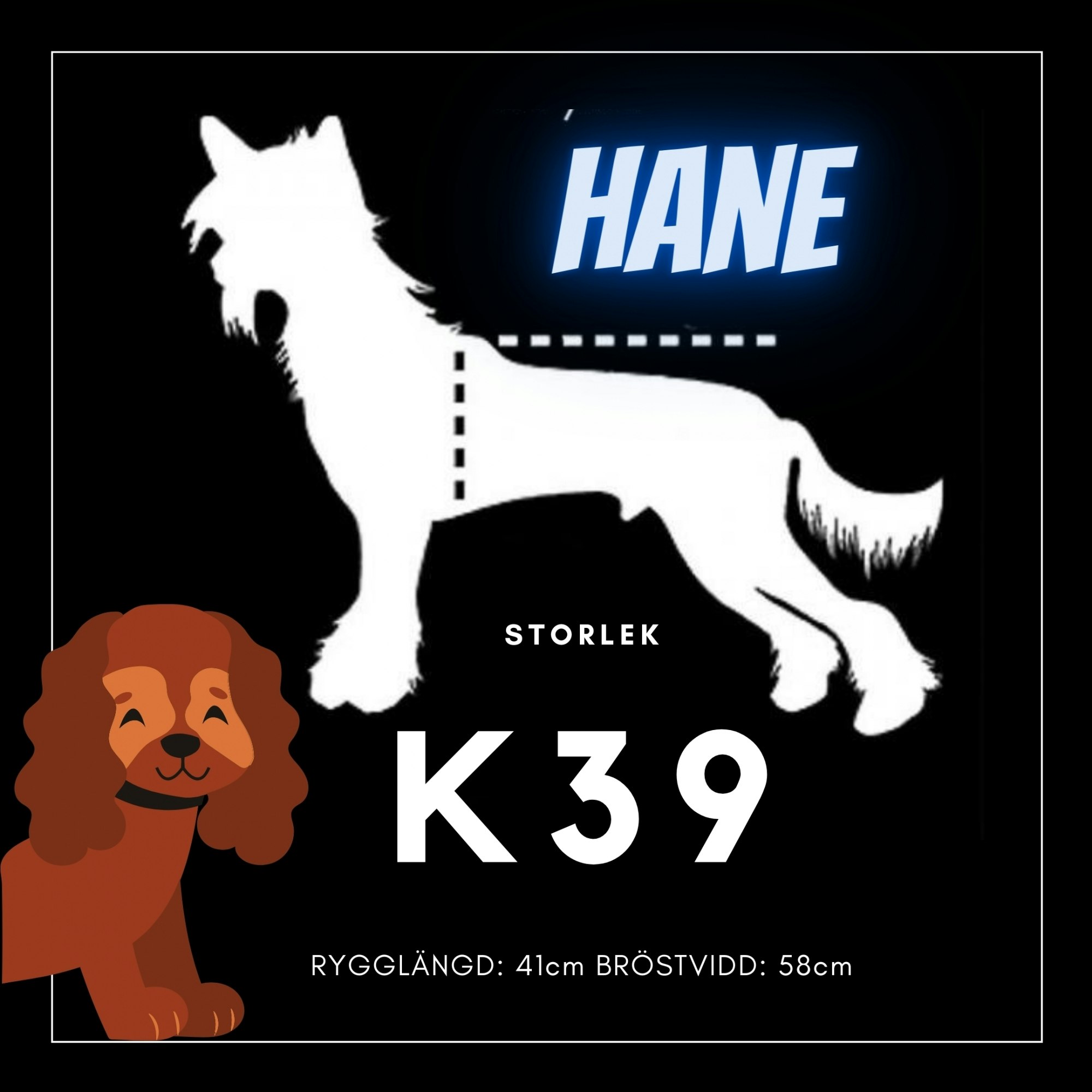 Hane Storlek K39 - Passion For Pet Fashion