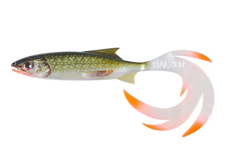 Reptile Shad Baltzer