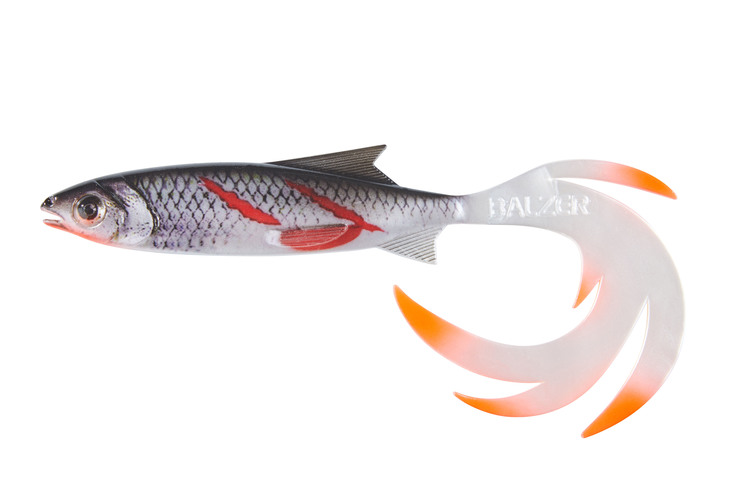 Reptile Shad Baltzer
