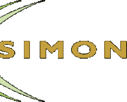 Simonis X-1 Billiard cloth cleaning pad
