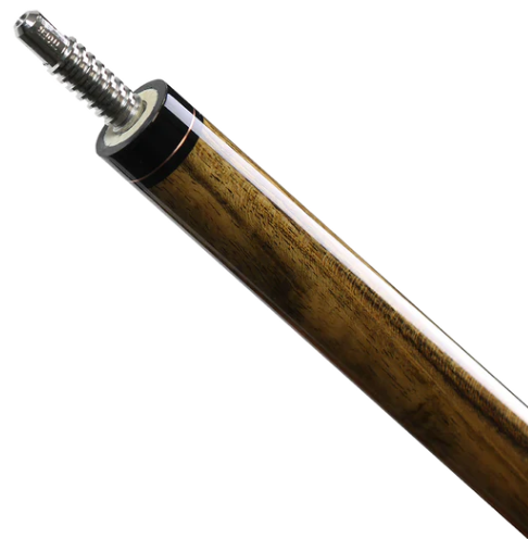 C2-2W by TIGER, with grip