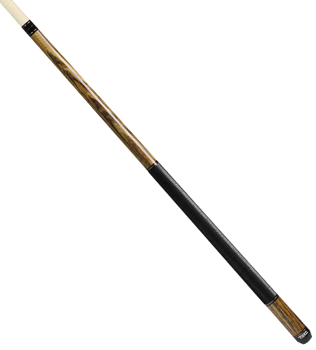 C2-2W by TIGER, with grip
