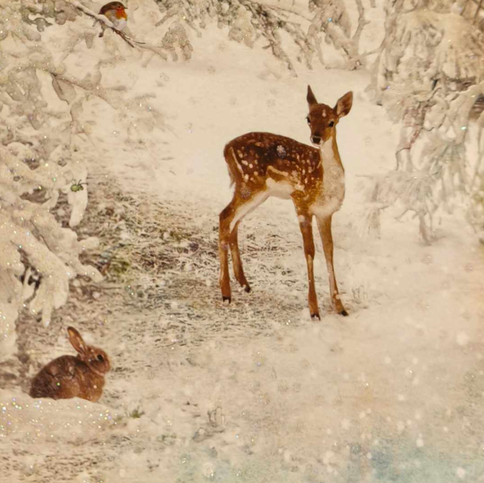 Kort "Rådyr og kanin" fra BUG art