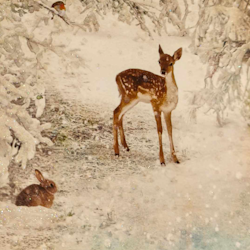 Card "Deer and rabbit" from BUG art