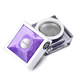 Gellack Paint- Silver- Burk 5g