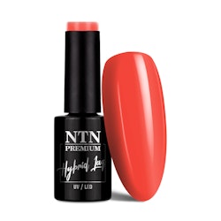 Gellack NTN nr 162 - 5g