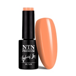 Gellack NTN nr 310 - 5g