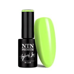 NTN Gellack nr 379 - 5g