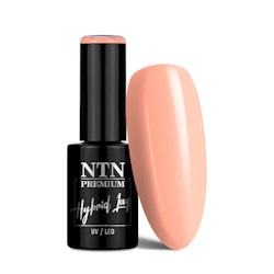 NTN Gellack nr 333 - 5g