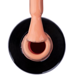 NTN Gellack nr 333 - 5g