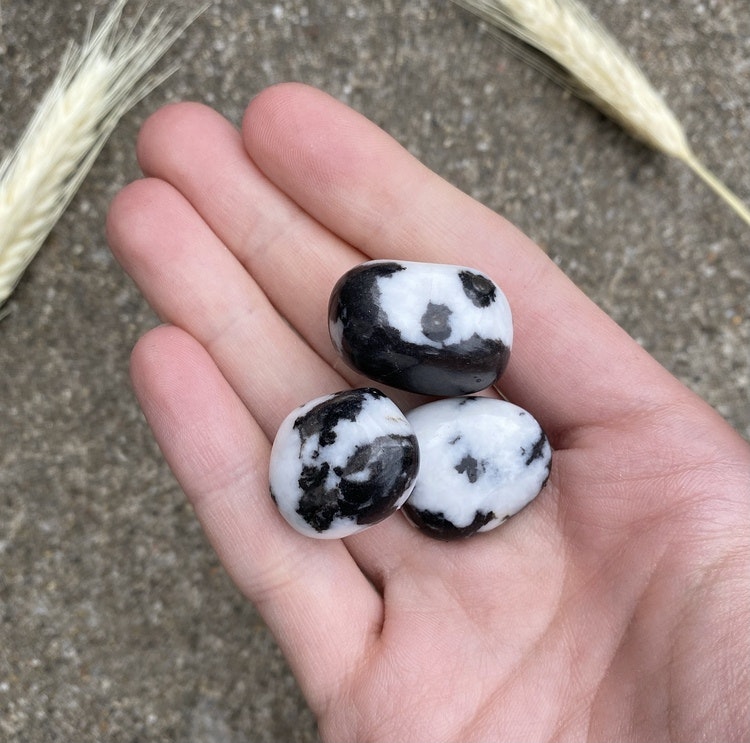 Zebra jaspis (mellan)