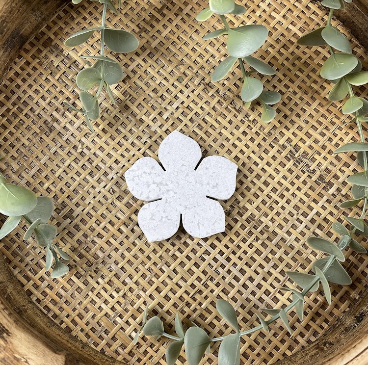 Snöagat blomma