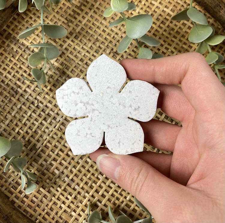 Snöagat blomma