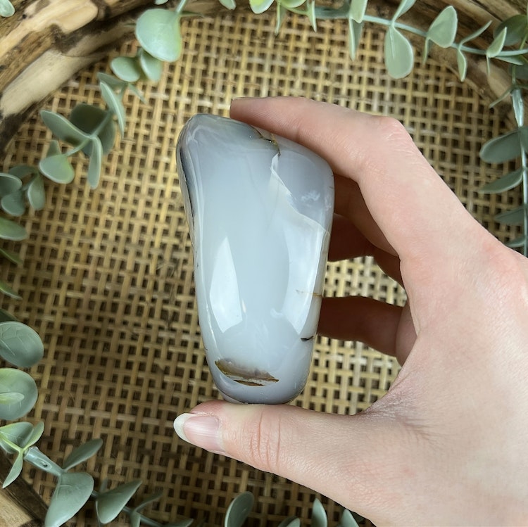 Kraftsten av dendritagat