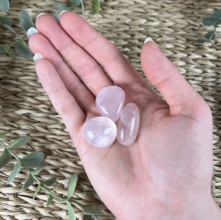 Rosenkvarts trumlad (mellan) transparent