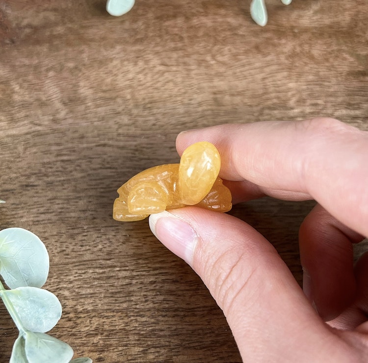 Sköldpadda av orange kalcit