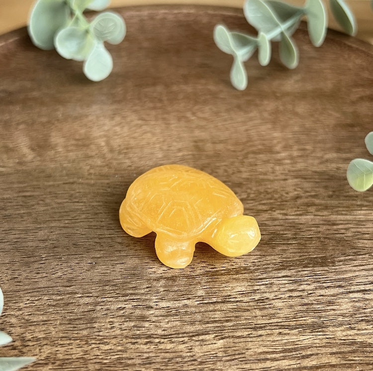 Sköldpadda av orange kalcit