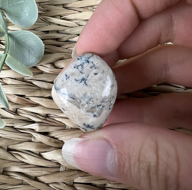 Dendrit opal trumlad (mellan)