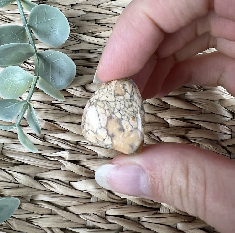 Dendrit opal trumlad (mellan)