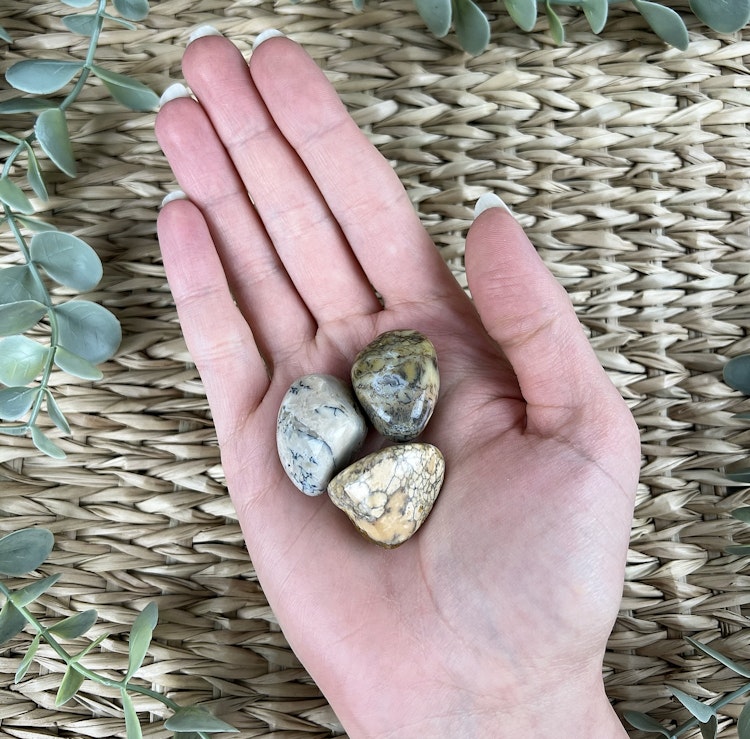 Dendrit opal trumlad (mellan)