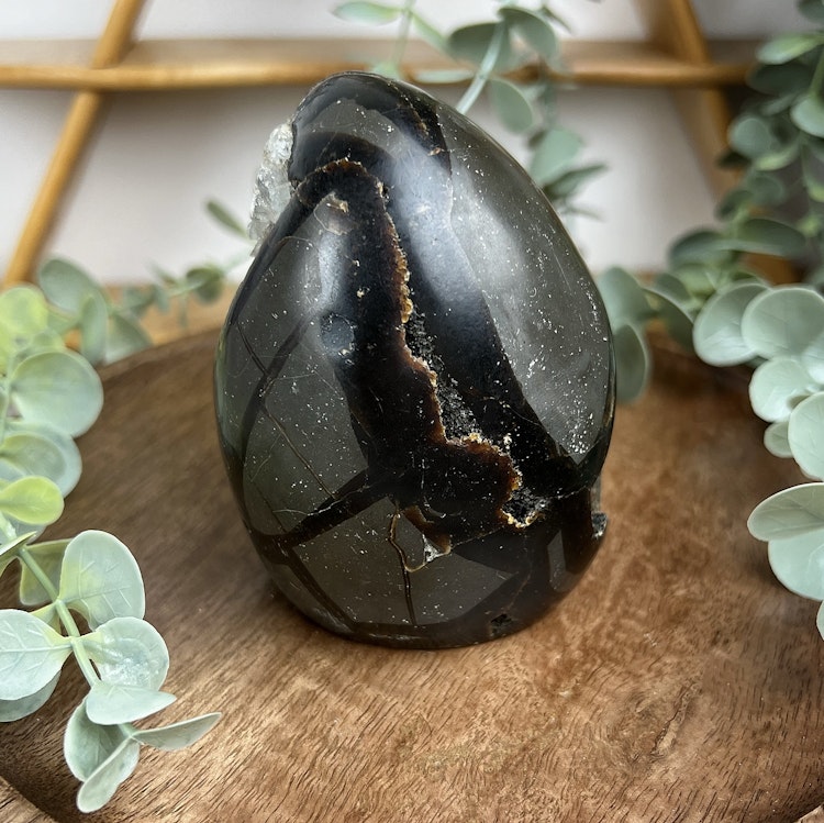 Septarian friform A