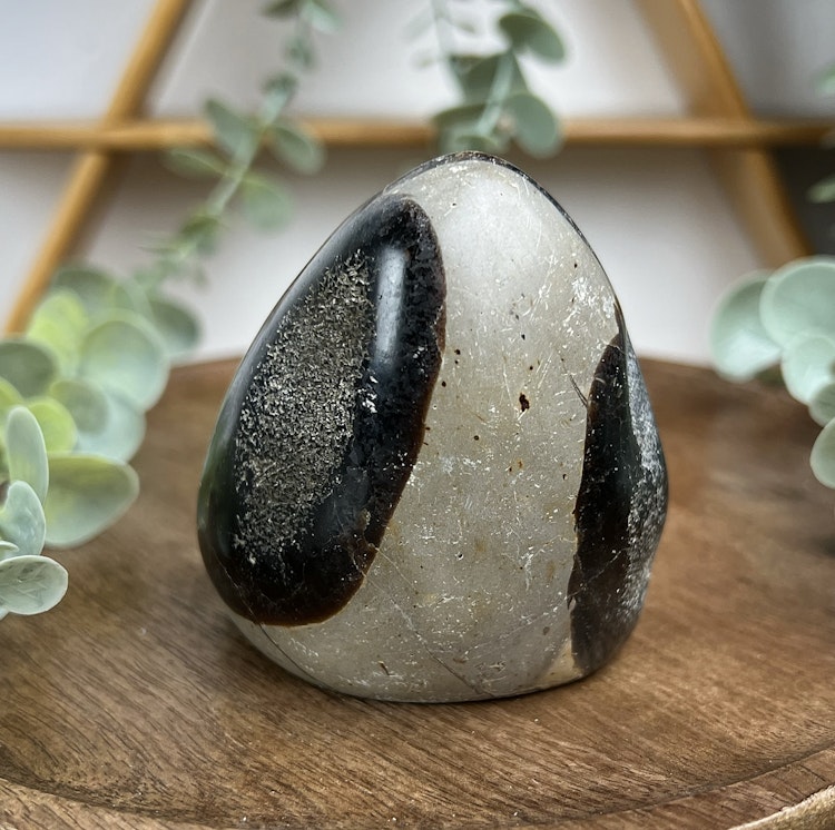 Septarian friform B
