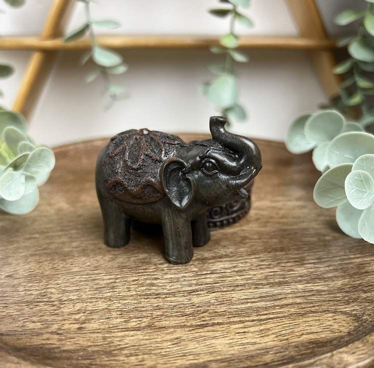 Ljushållare baby-elefant