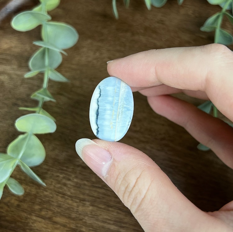 Owyhee Blå Opal cabochon F