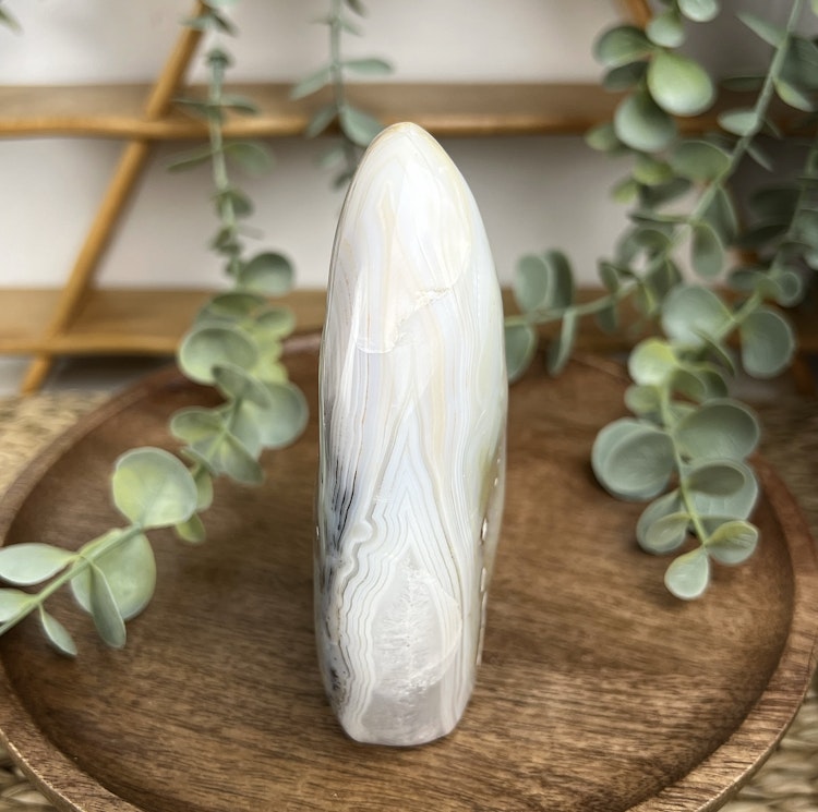 Dendritagat friform M