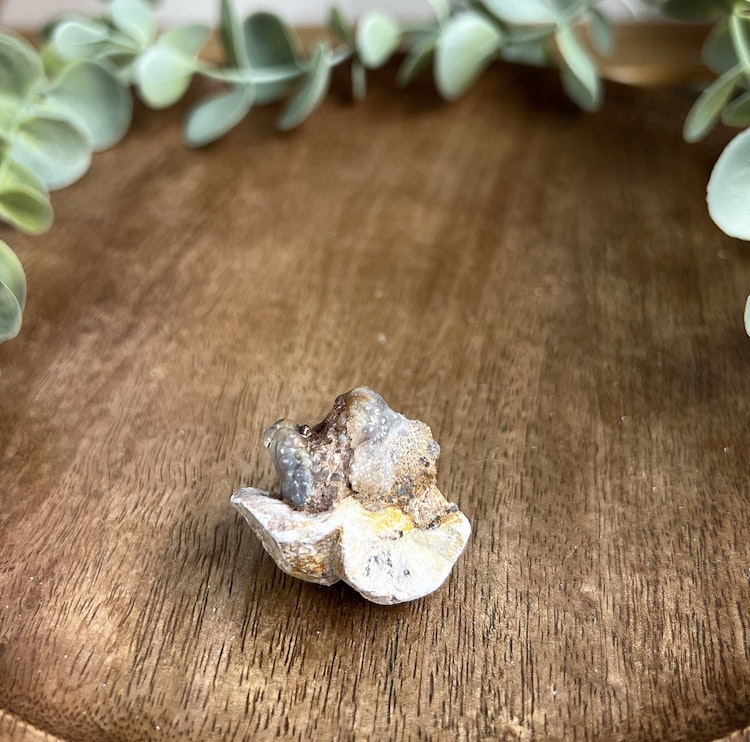 Hyalit Opal C