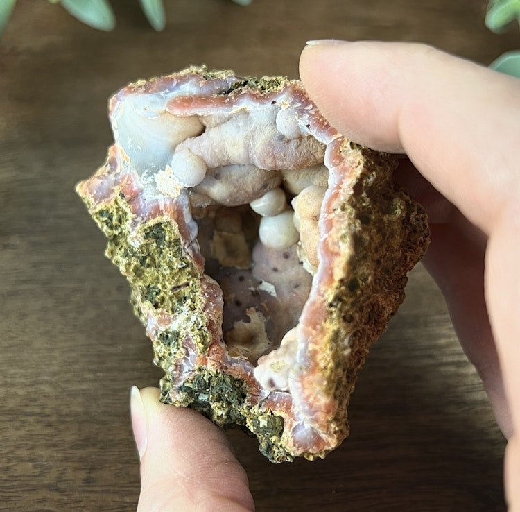 Berberagat geodhalva E