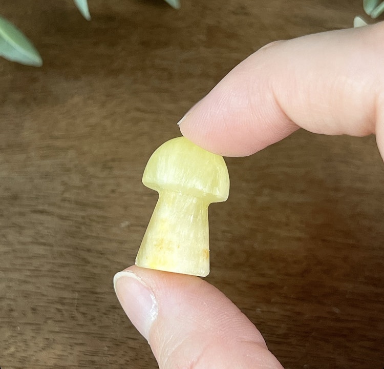Citronkalcit liten svamp