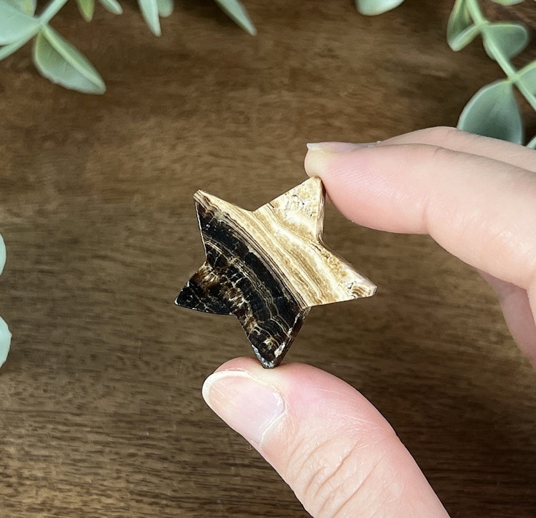 Chokladkalcit stjärna