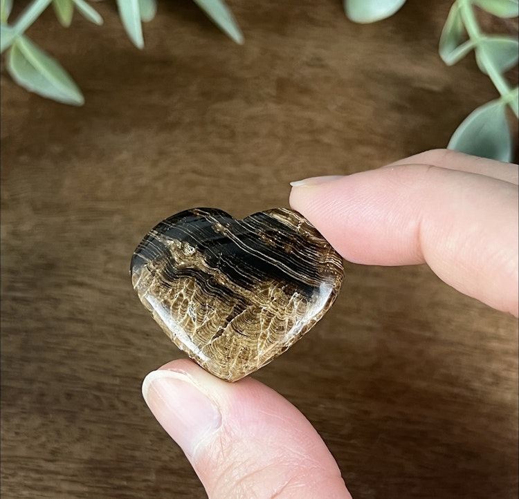 Chokladkalcit mindre hjärta