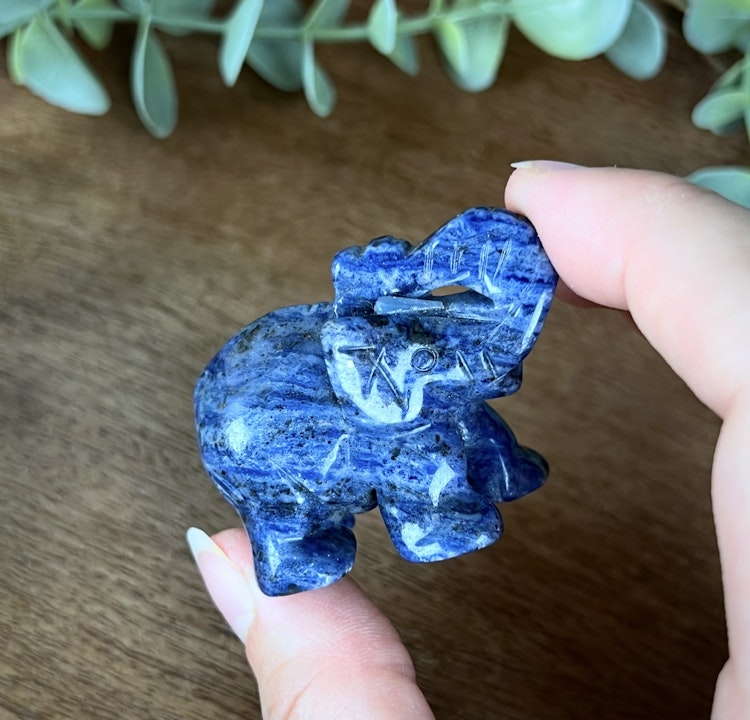 Sodalit Elefant carving B