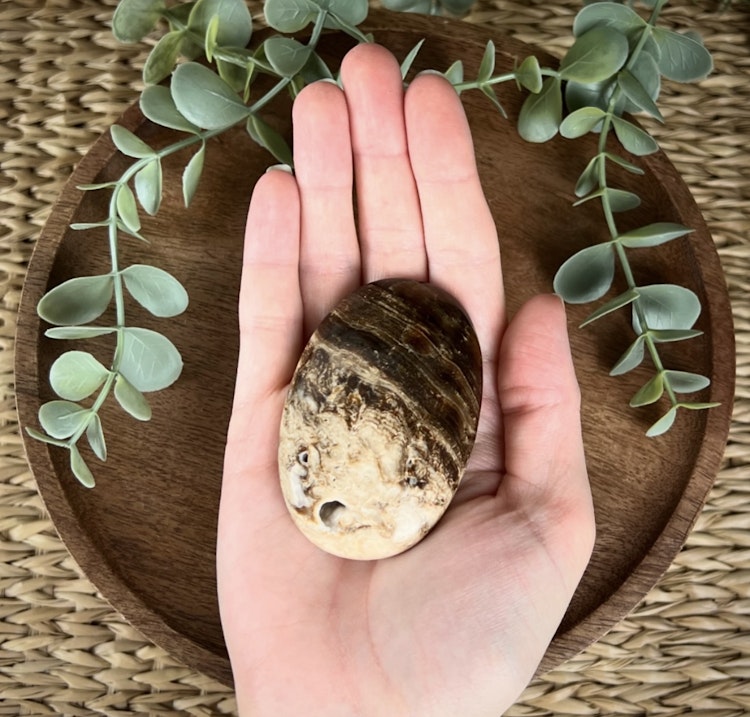 Chokladkalcit meditationssten (handsten) B