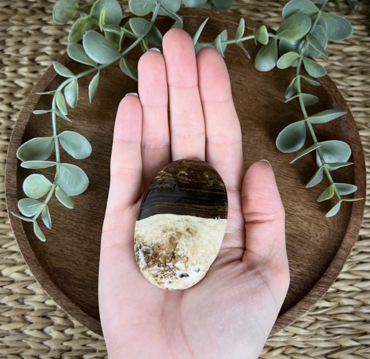 Chokladkalcit meditationssten (handsten) G