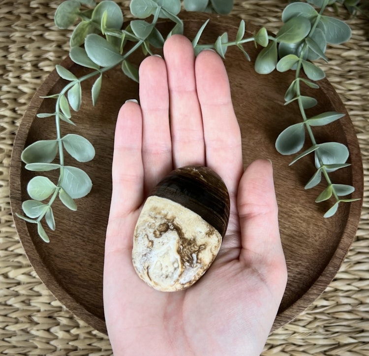 Chokladkalcit meditationssten (handsten) G
