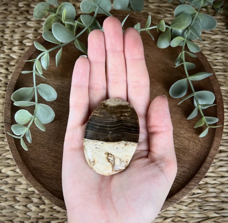 Chokladkalcit meditationssten (handsten) H