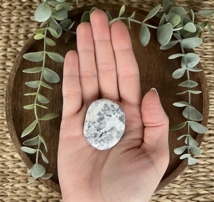 Dendritopal/kalcedon platta B