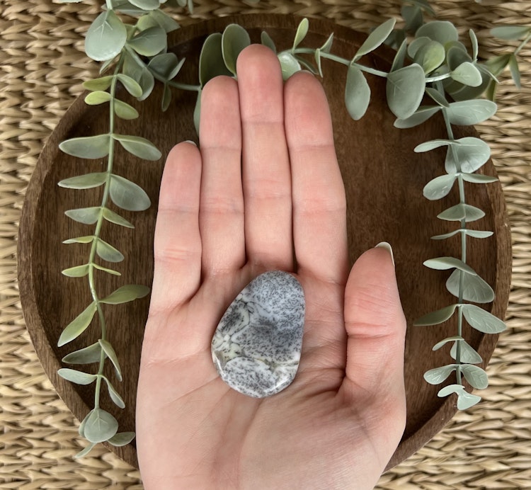 Dendritopal/kalcedon platta C