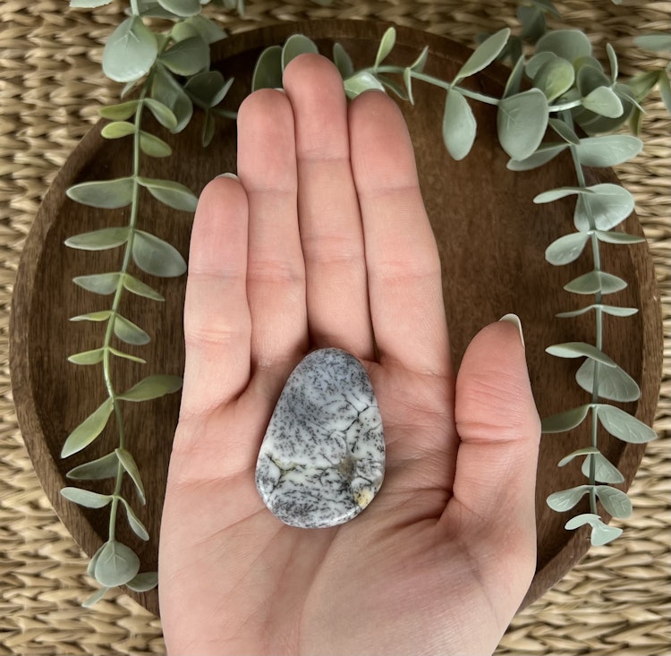 Dendritopal/kalcedon platta C