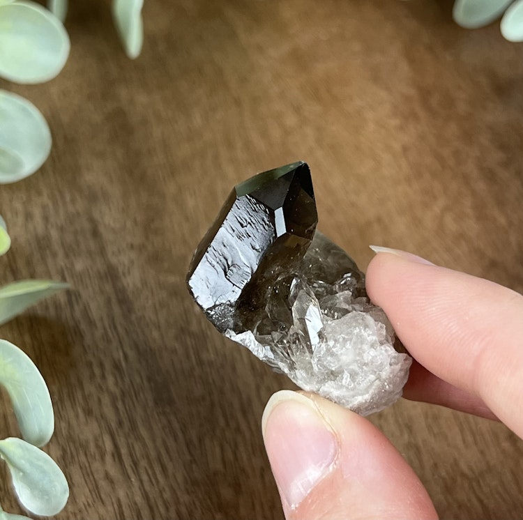 Rökkvarts kluster mindre