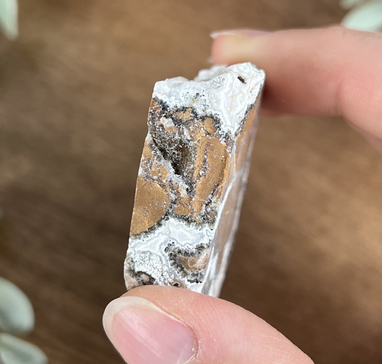 Brecci Jaspis rå bit C