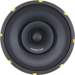 Ground Zero GZCM 10.0SPL