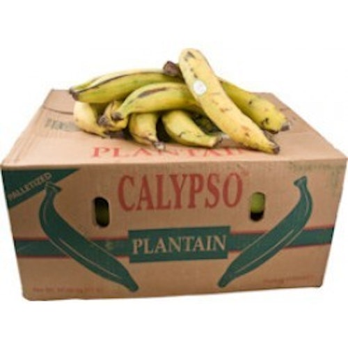 Plantain Gula